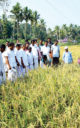 KAVALANGAD SERVICE CO-OPERATIVE BANK LTD